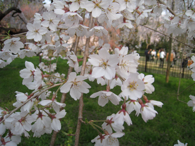 IMG_0282.png