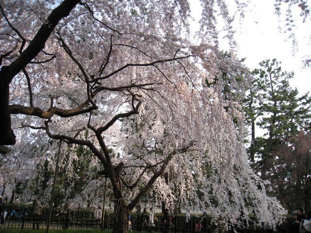 IMG_0285.png