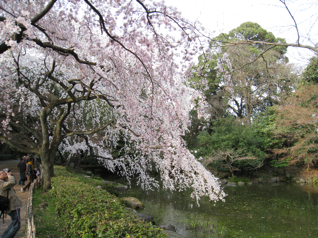 IMG_0304.png